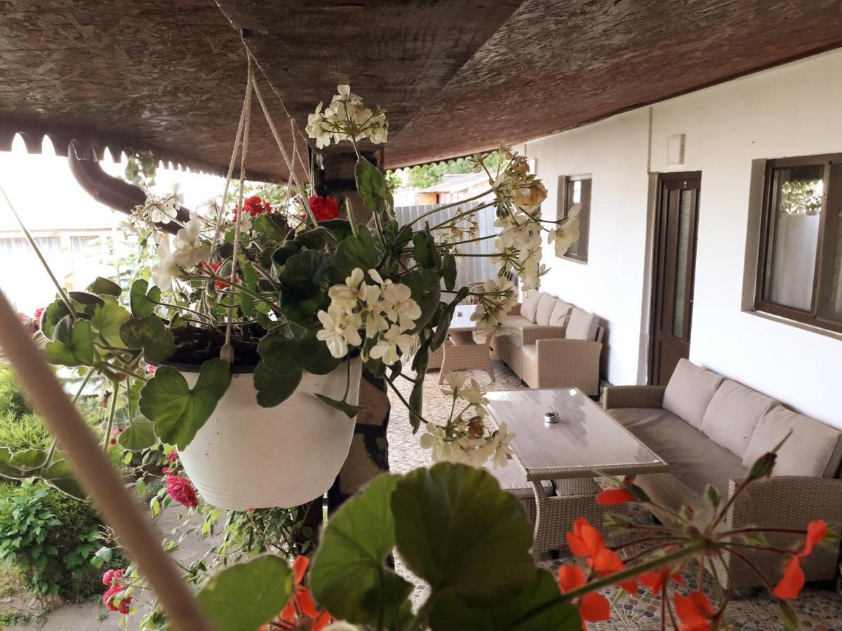 Casa Chitu Pensionat Murighiol Exteriör bild
