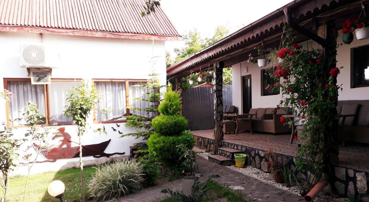 Casa Chitu Pensionat Murighiol Exteriör bild