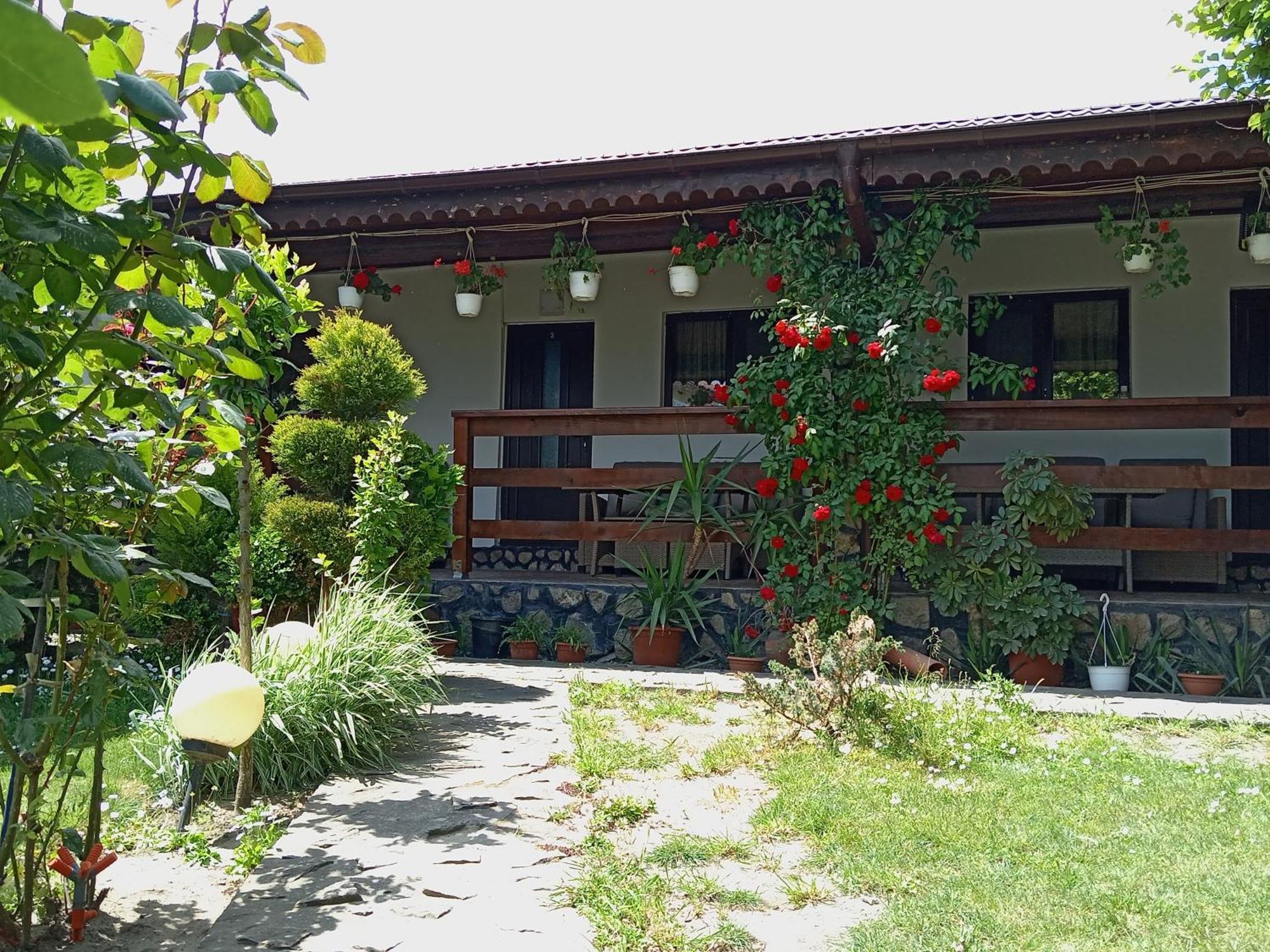 Casa Chitu Pensionat Murighiol Exteriör bild